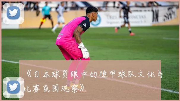《日本球员眼中的德甲球队文化与比赛氛围观察》